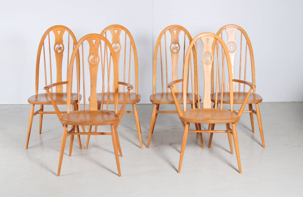 Set of 6 Ercol Swan Chairs in Elm c.1970