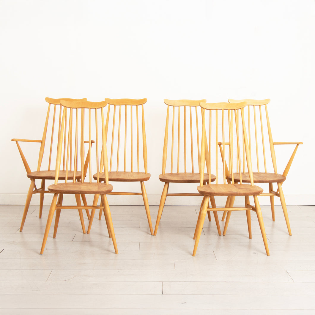 Set of 6 Midcentury Goldsmith Dining Chairs by Ercol, with Blue Labels